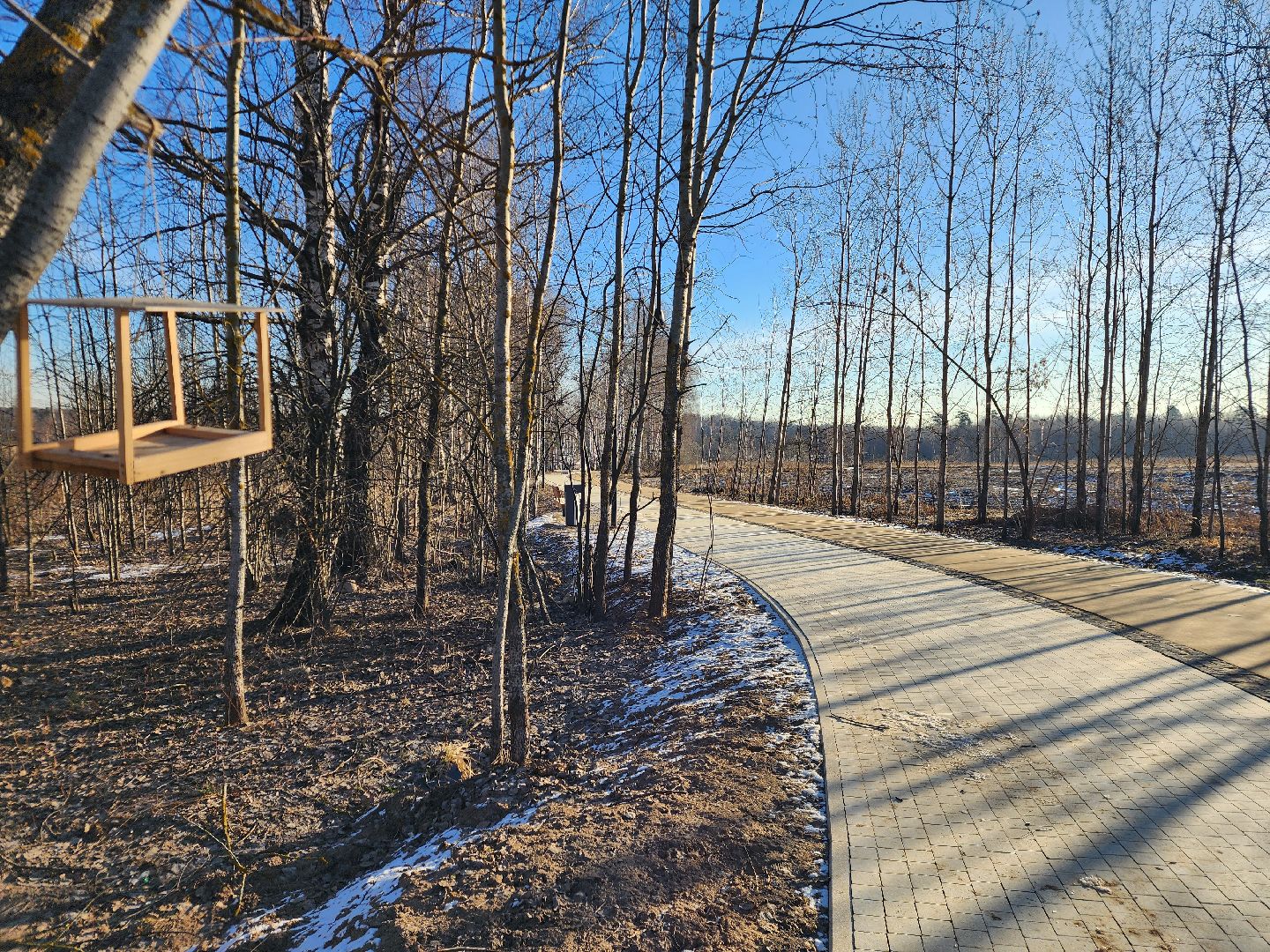 фрязино, благоустройство, пешеходная дорожка, велодорожка, гребнево,