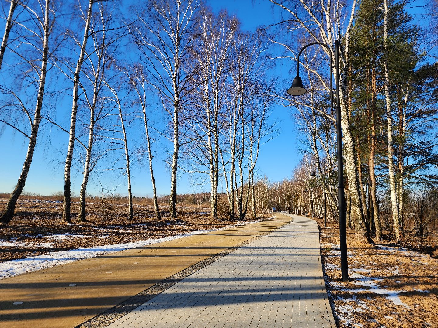 фрязино, благоустройство, пешеходная дорожка, велодорожка, гребнево,