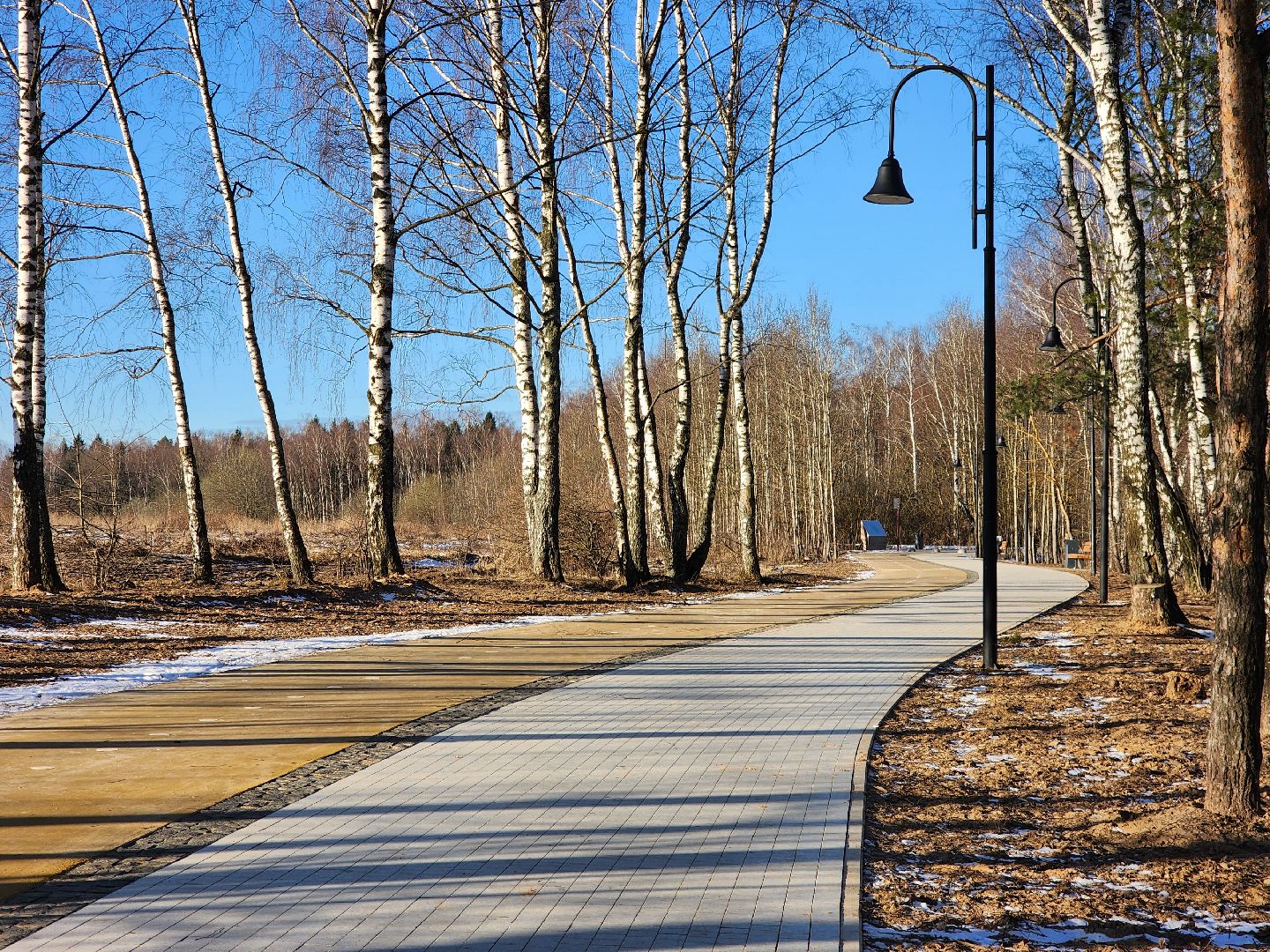 фрязино, благоустройство, пешеходная дорожка, велодорожка, гребнево,