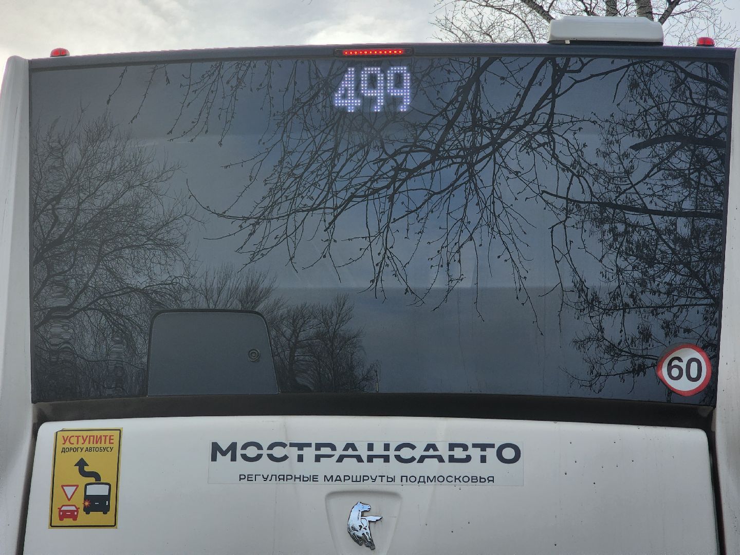 королёв, автобус, маршрут, общественный транспорт,