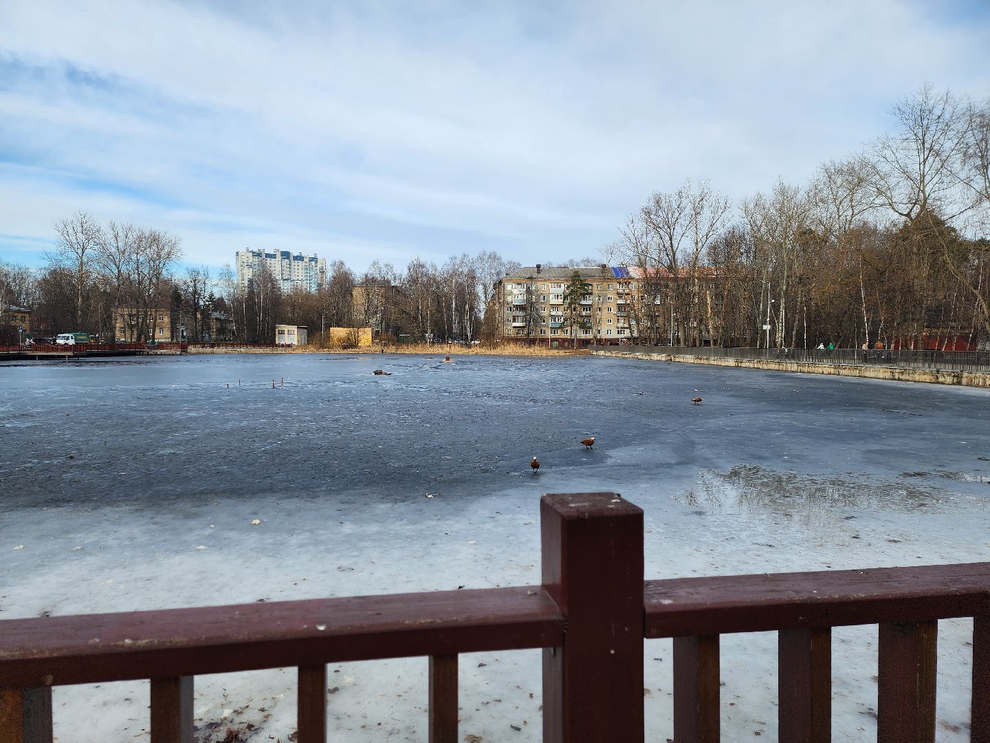 вертикалки, королёв,