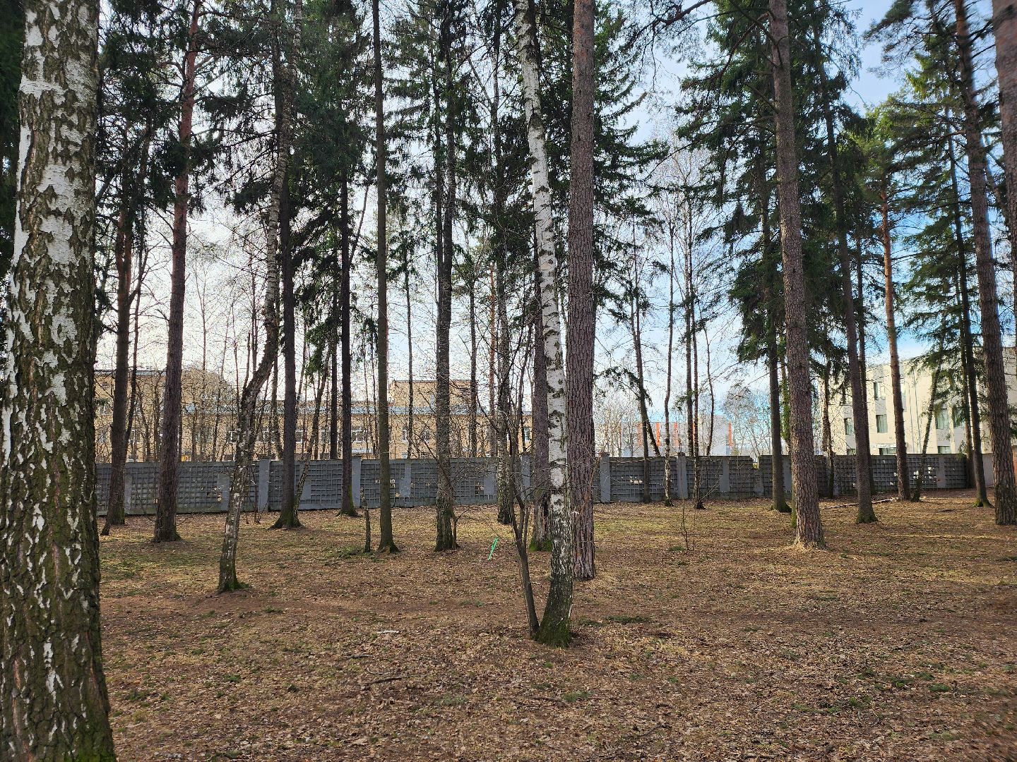 вертикалки, королёв,