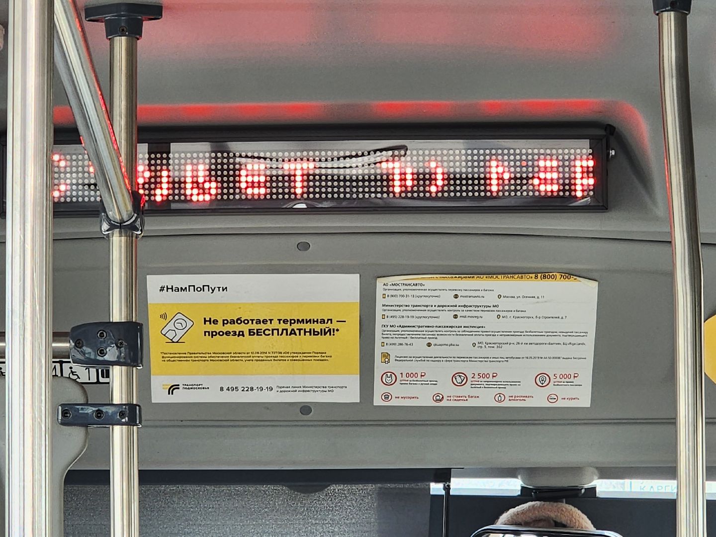 королёв, автобус, маршрут, общественный транспорт,