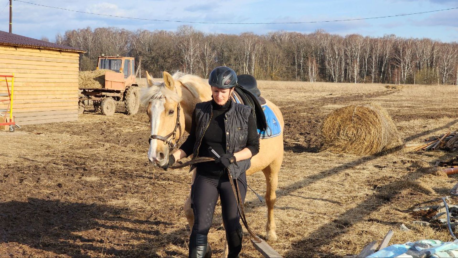 луховицы, конные прогулки, конный спорт,