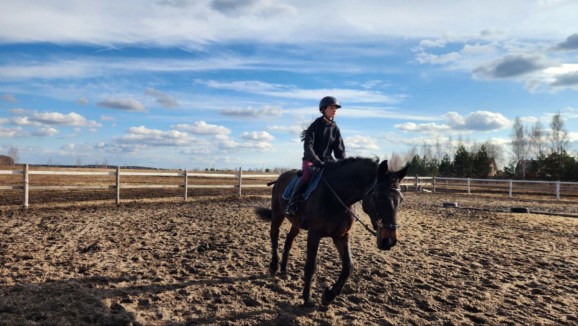 луховицы, конные прогулки, конный спорт,