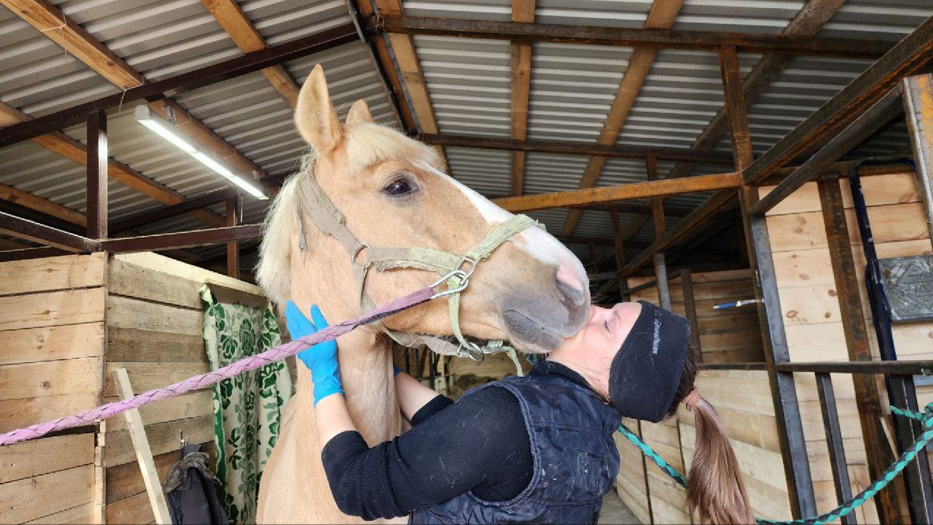 луховицы, конные прогулки, конный спорт,