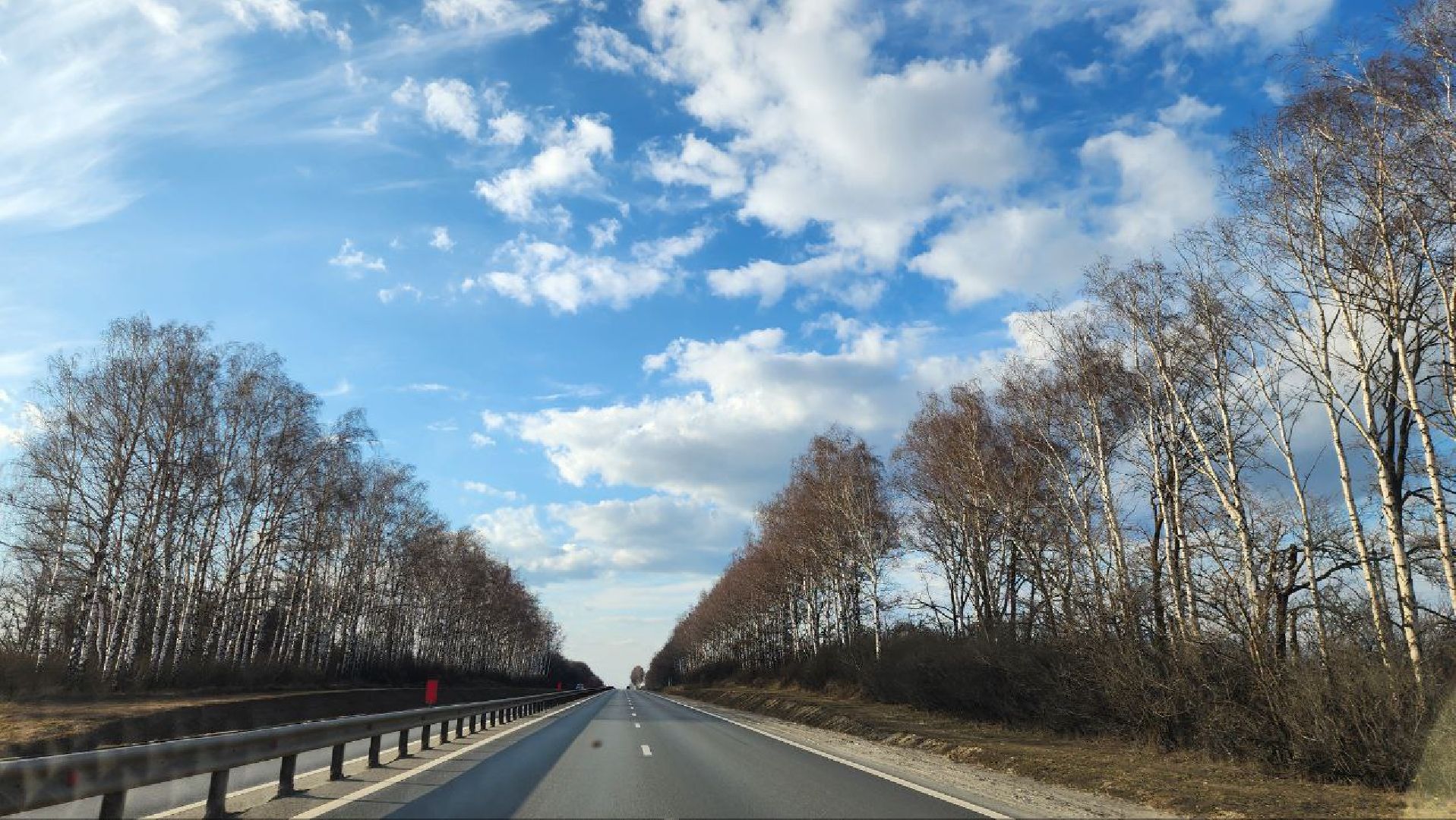 луховицы, конные прогулки, конный спорт,