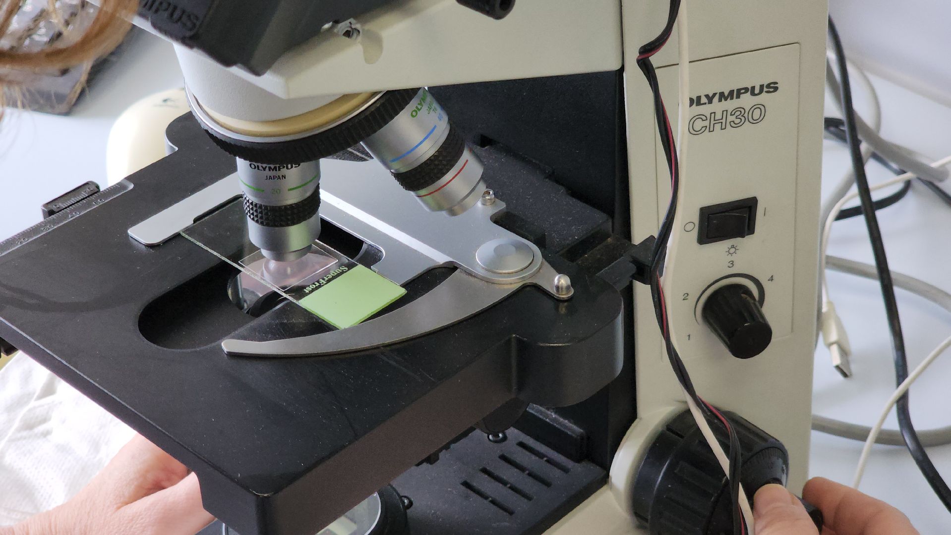 Красногорск, завод, лекарственные травы,