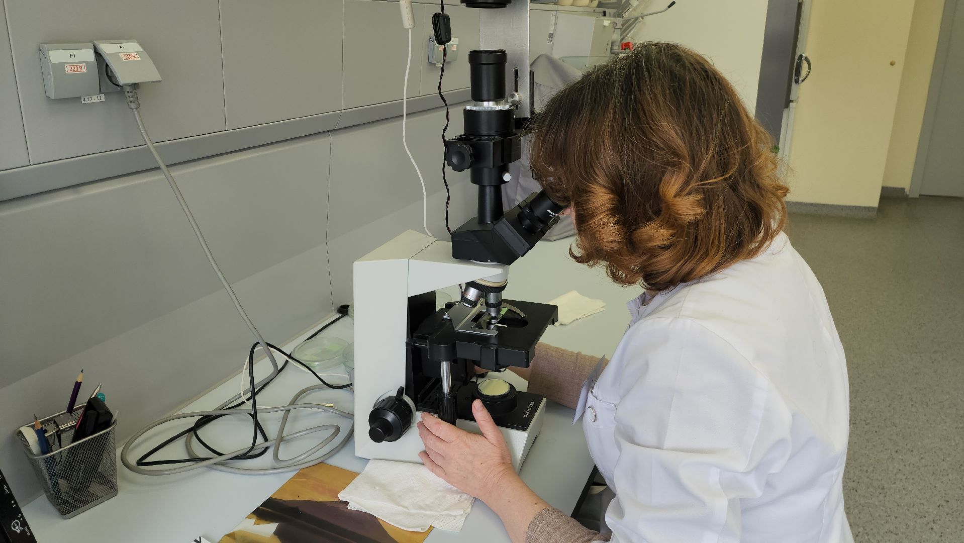 Красногорск, завод, лекарственные травы,