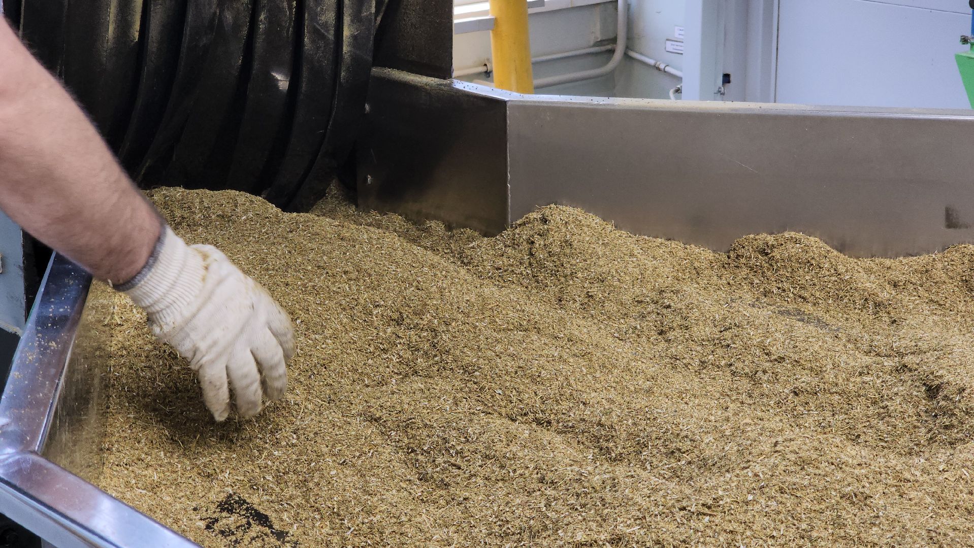 Красногорск, Завод, лекарственные травы,