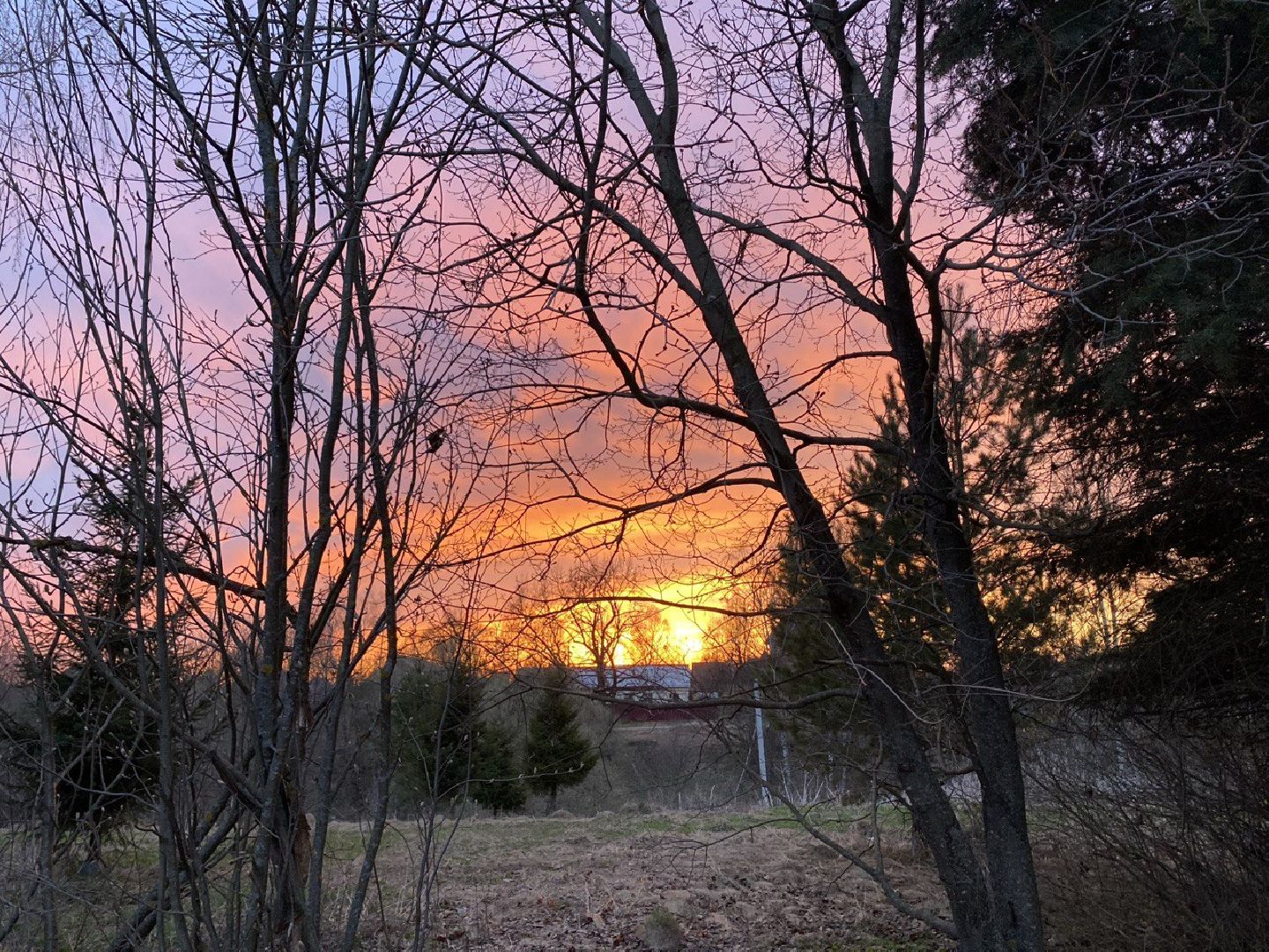 психология, природа, советы врачей,