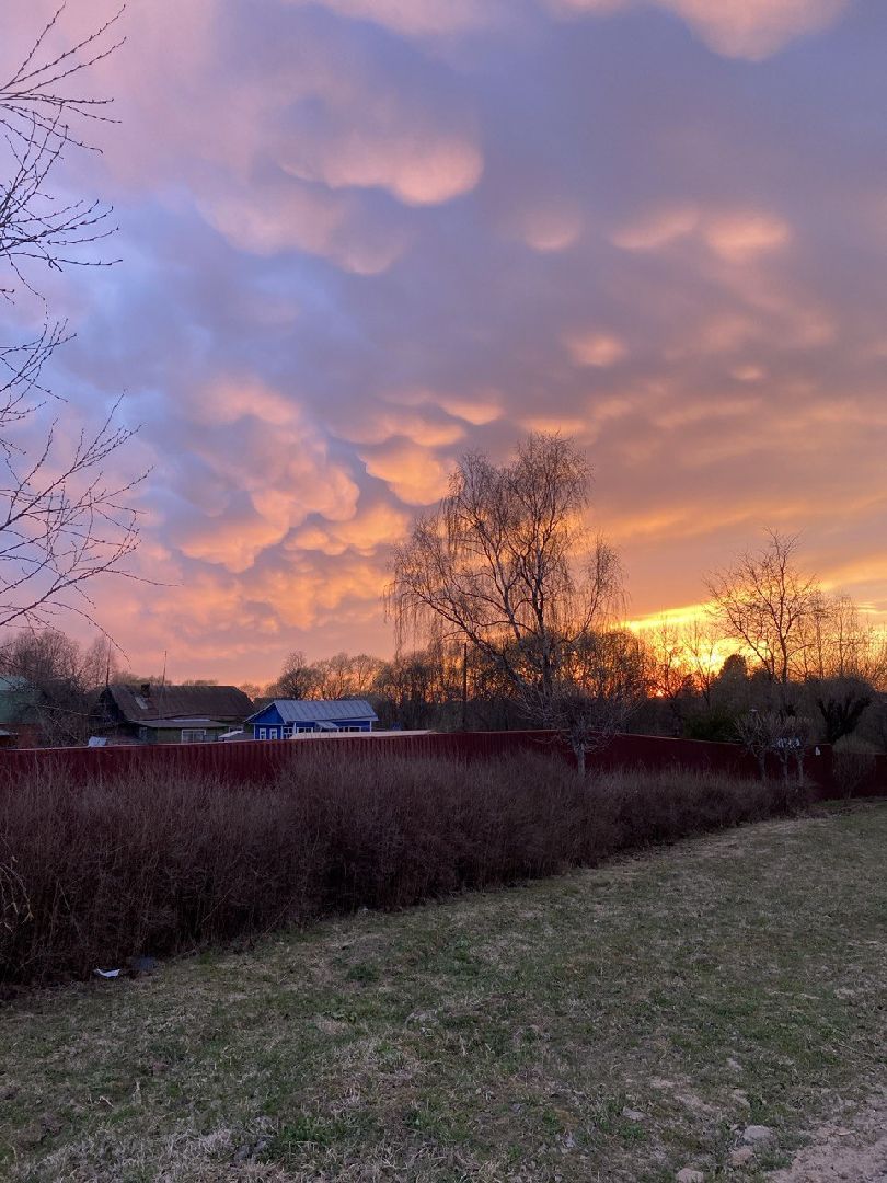 психология, природа, советы врачей,