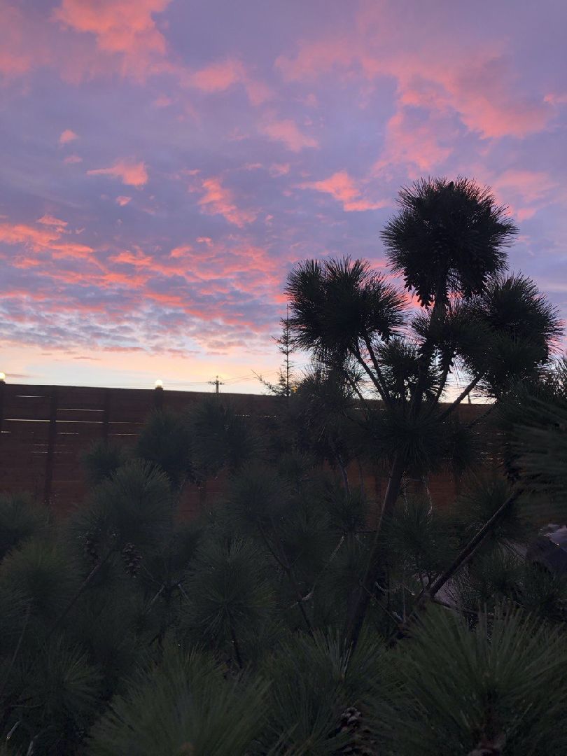 психология, природа, советы врачей,