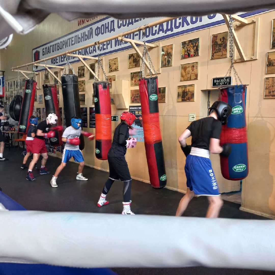 сергиев посад, бокс, луч, школа центр, победительница соревнований,