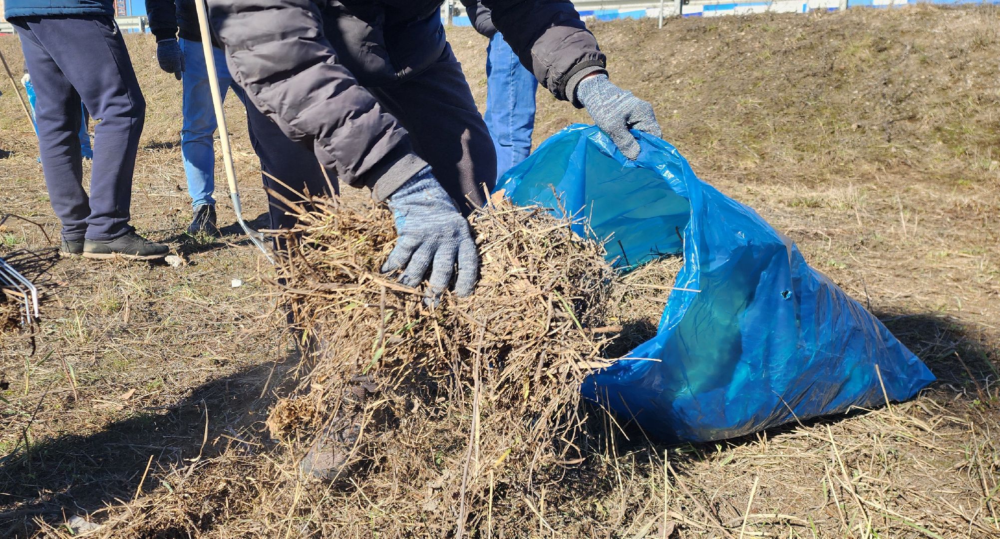Химки, Благоустройство, ЖКХ, Субботник,