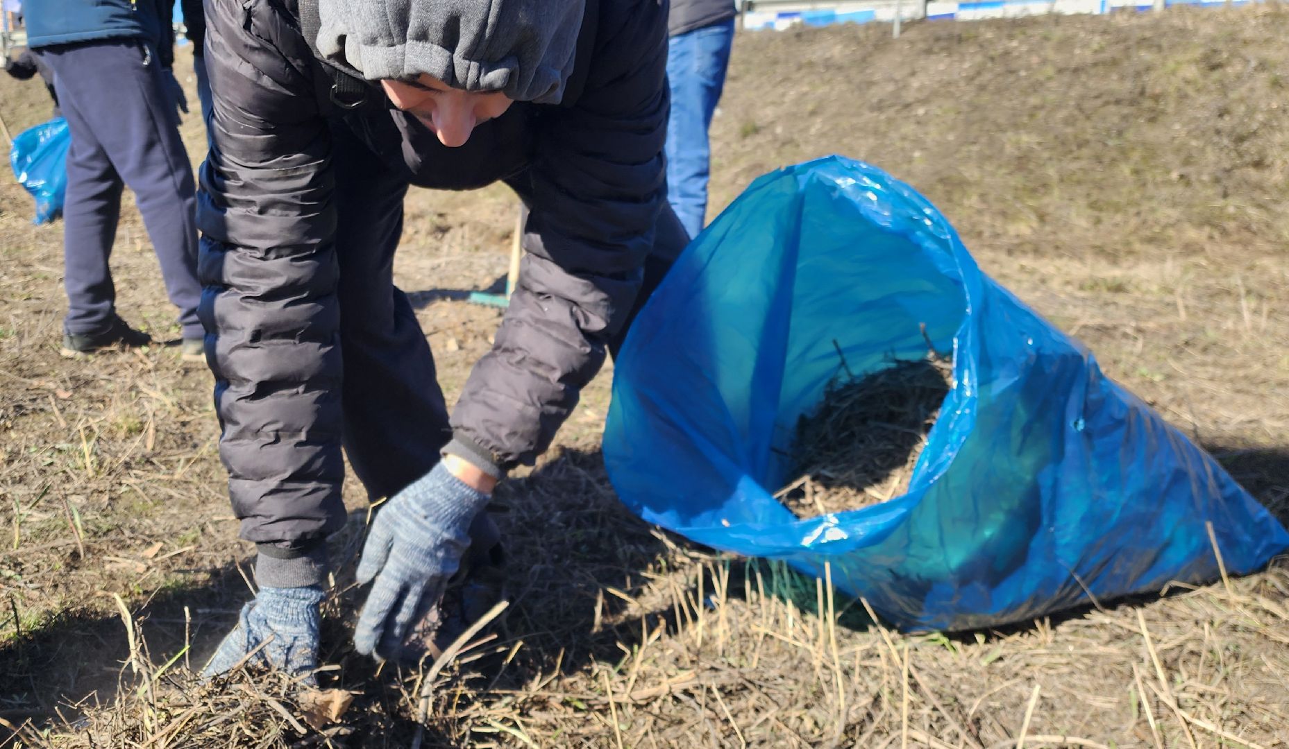 Химки, Благоустройство, ЖКХ, Субботник,