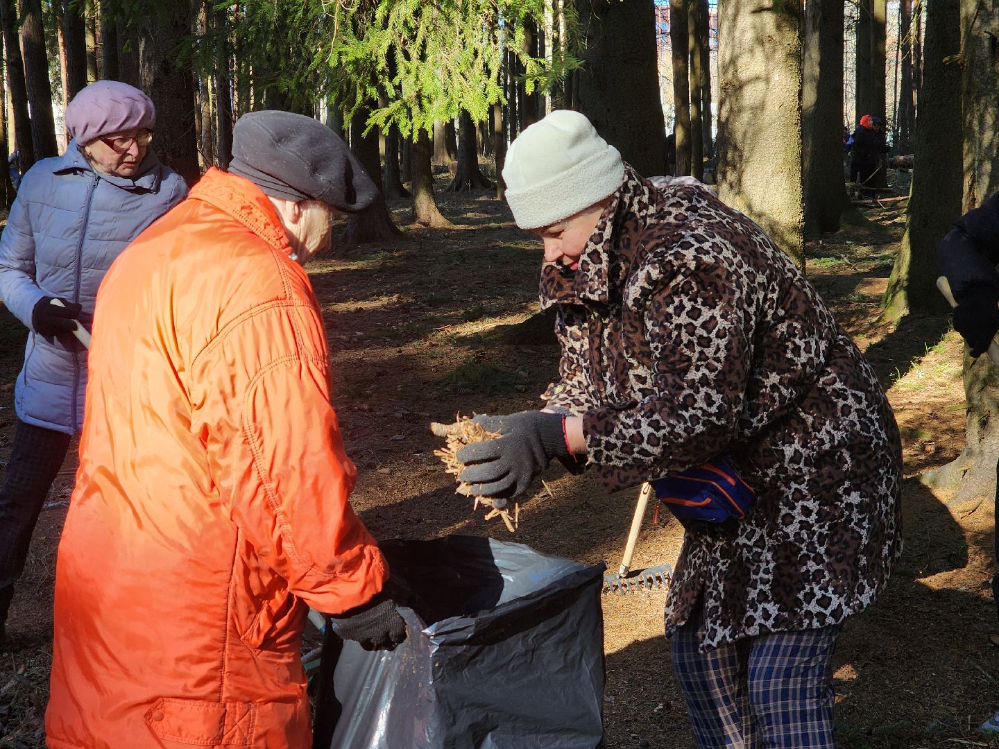 дубна, мемориальный комплекс, братская могила, субботник, глава городского округа, благоуйстройство, уборка леса,