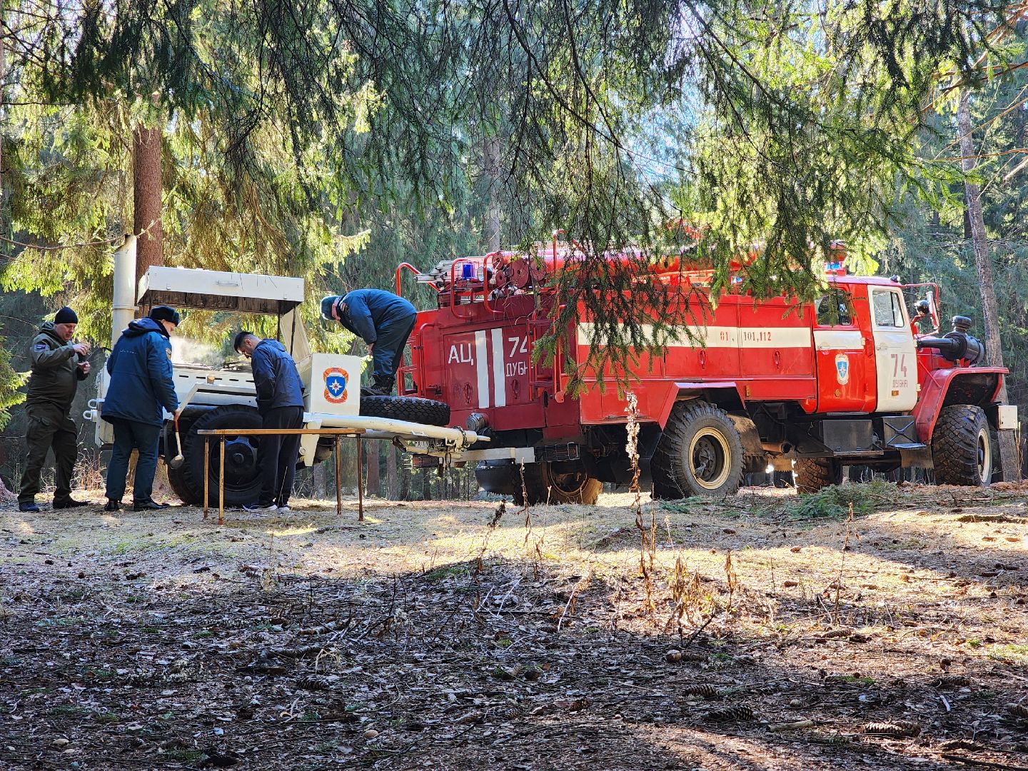 дубна, мемориальный комплекс, братская могила, субботник, глава городского округа, благоуйстройство, уборка леса,