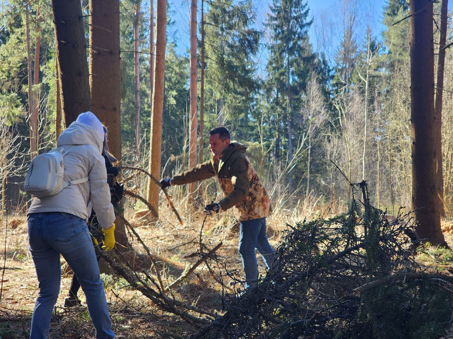 дубна, мемориальный комплекс, братская могила, субботник, глава городского округа, благоуйстройство, уборка леса,