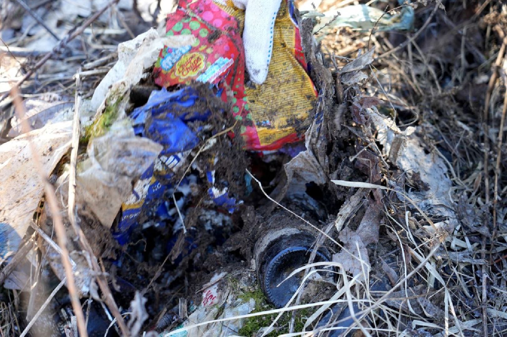 субботник, уборка, благоустройство, сергиев посад, сергиево-посадский городской округ,