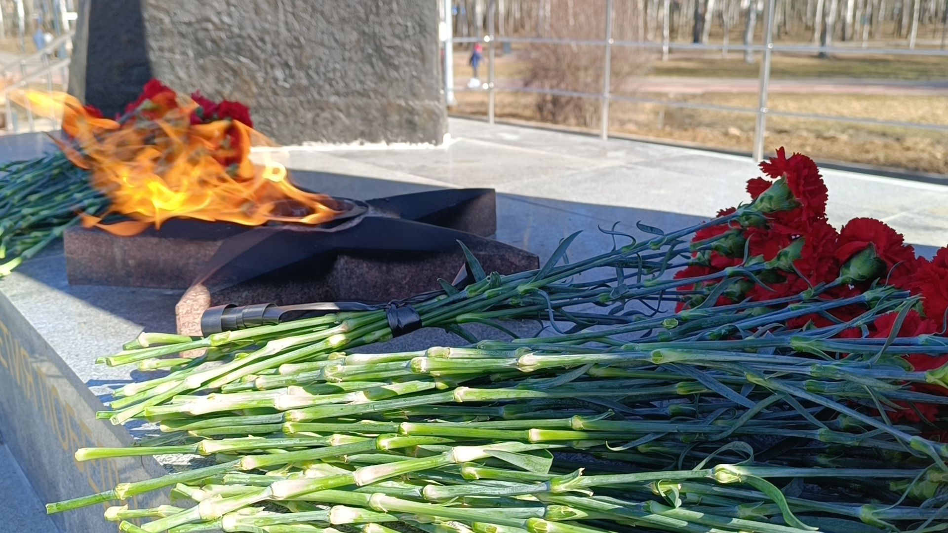 крокус, крокус сити холл, лобня, память,