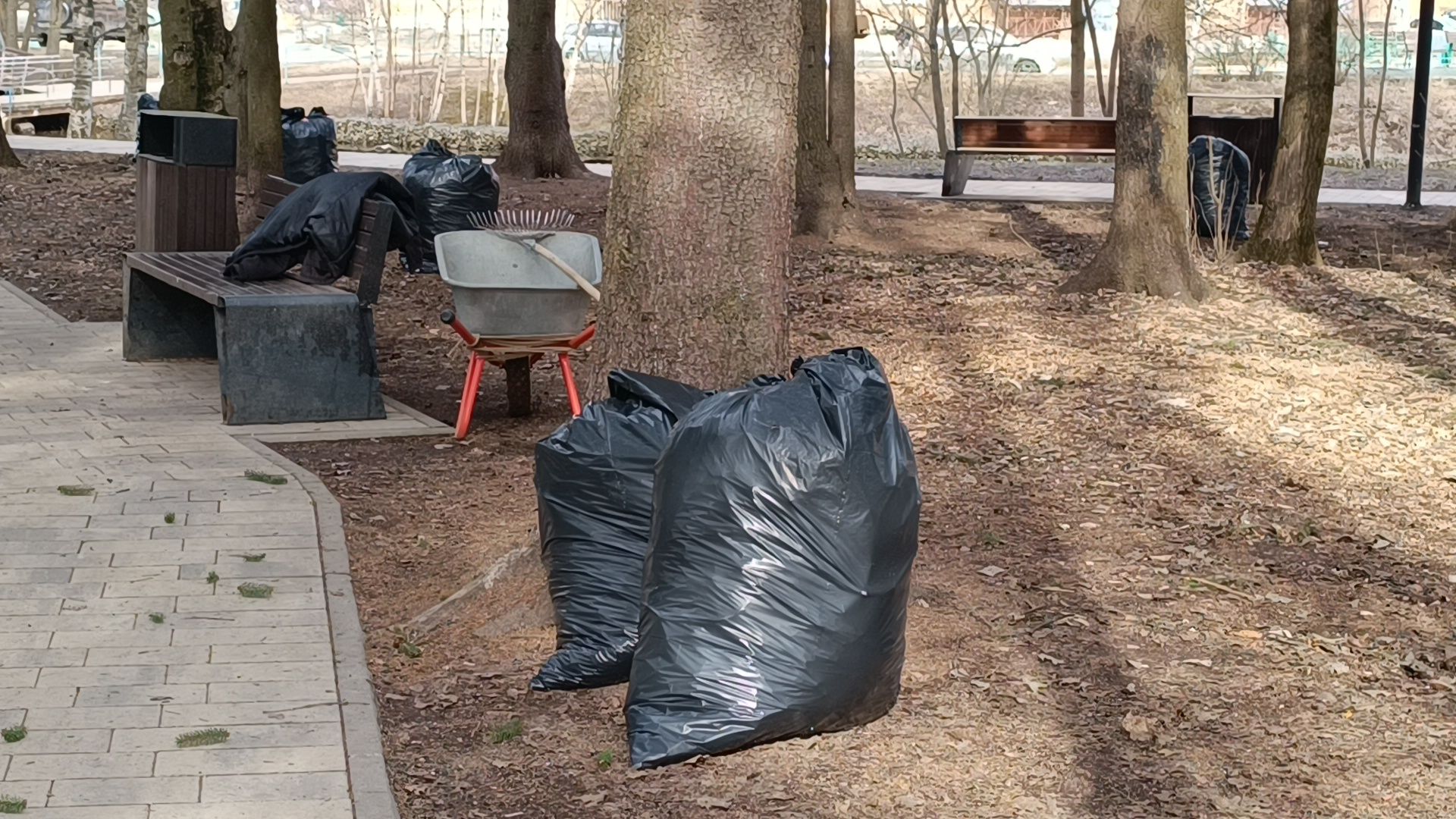 парк, уборка, лобня,