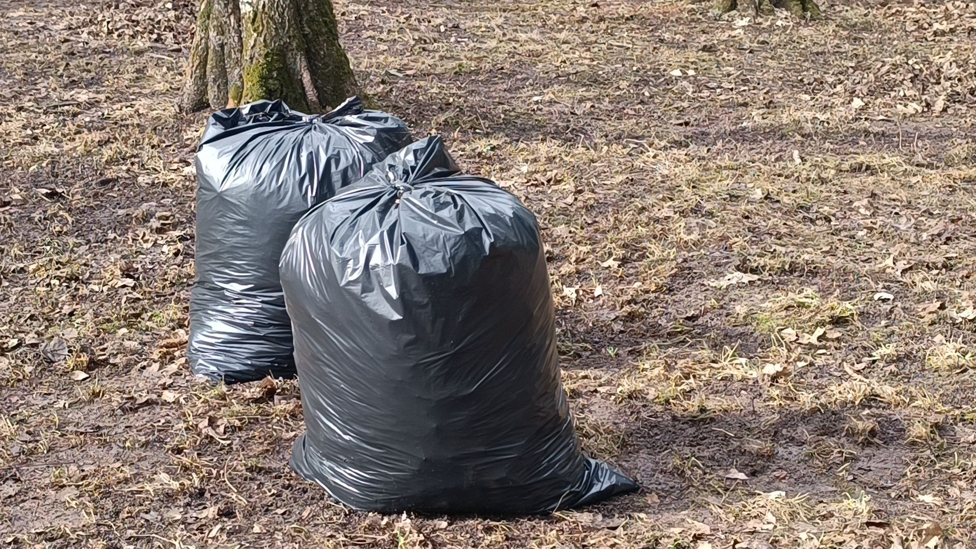 парк, уборка, лобня,