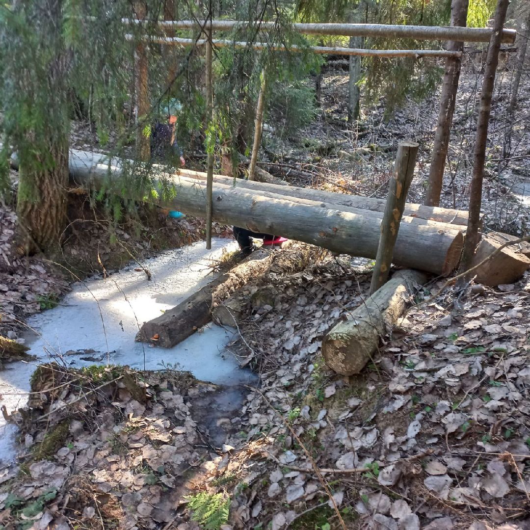 сергиев посад, туризм, история, лес,