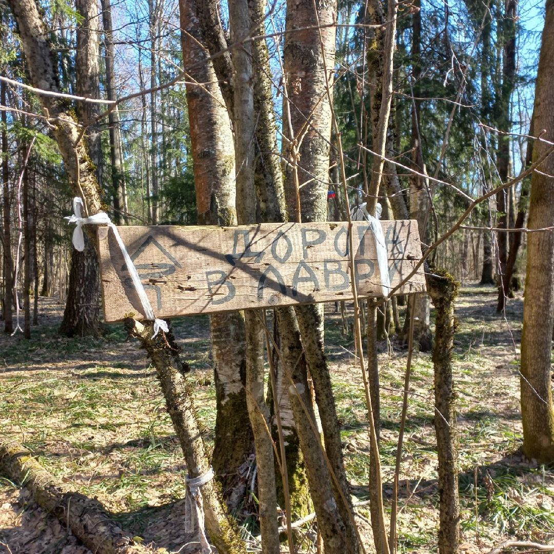 сергиев посад, туризм, история, лес,