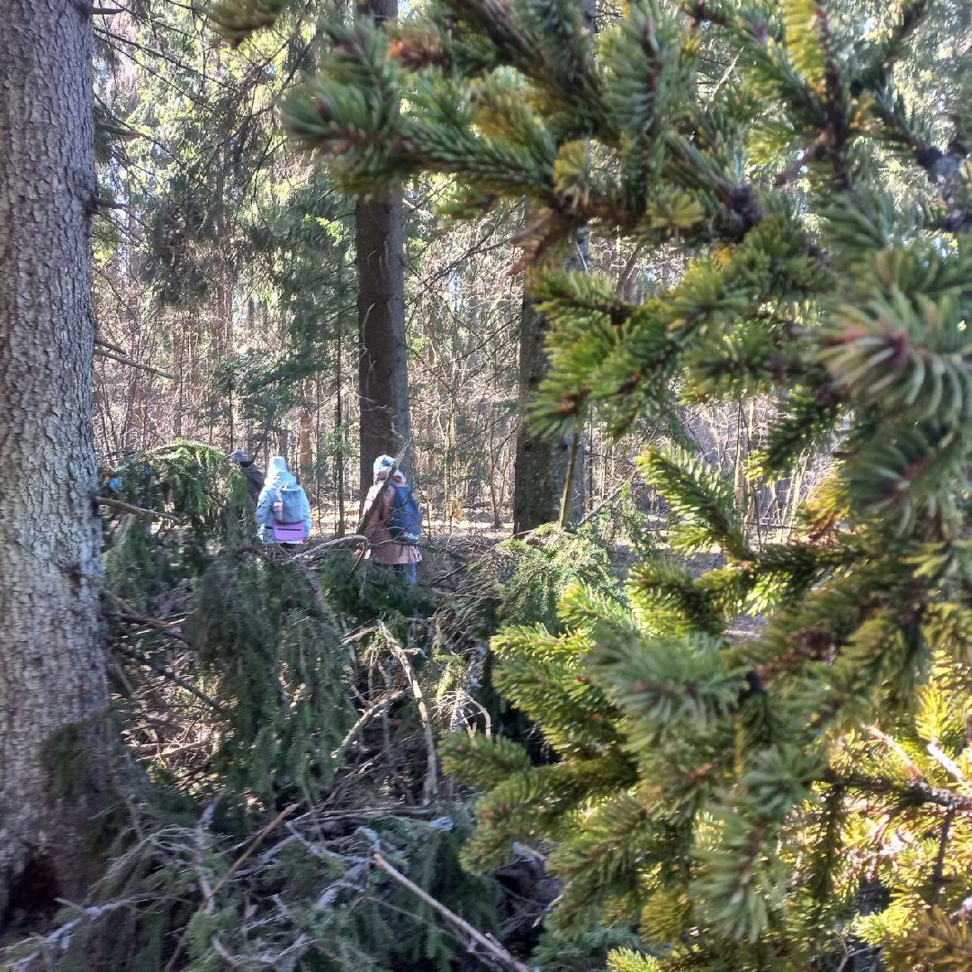 сергиев посад, туризм, история, лес,