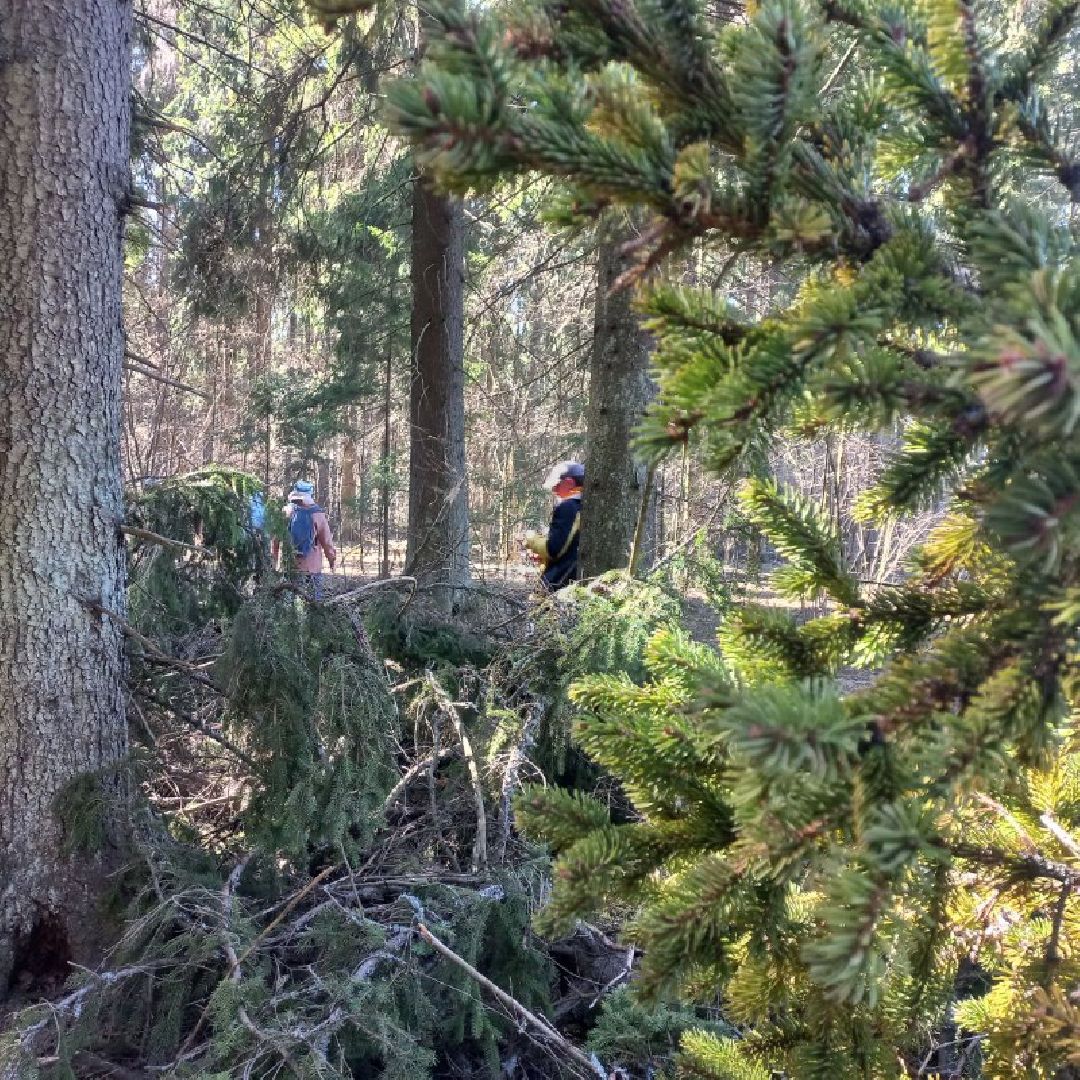 сергиев посад, туризм, история, лес,