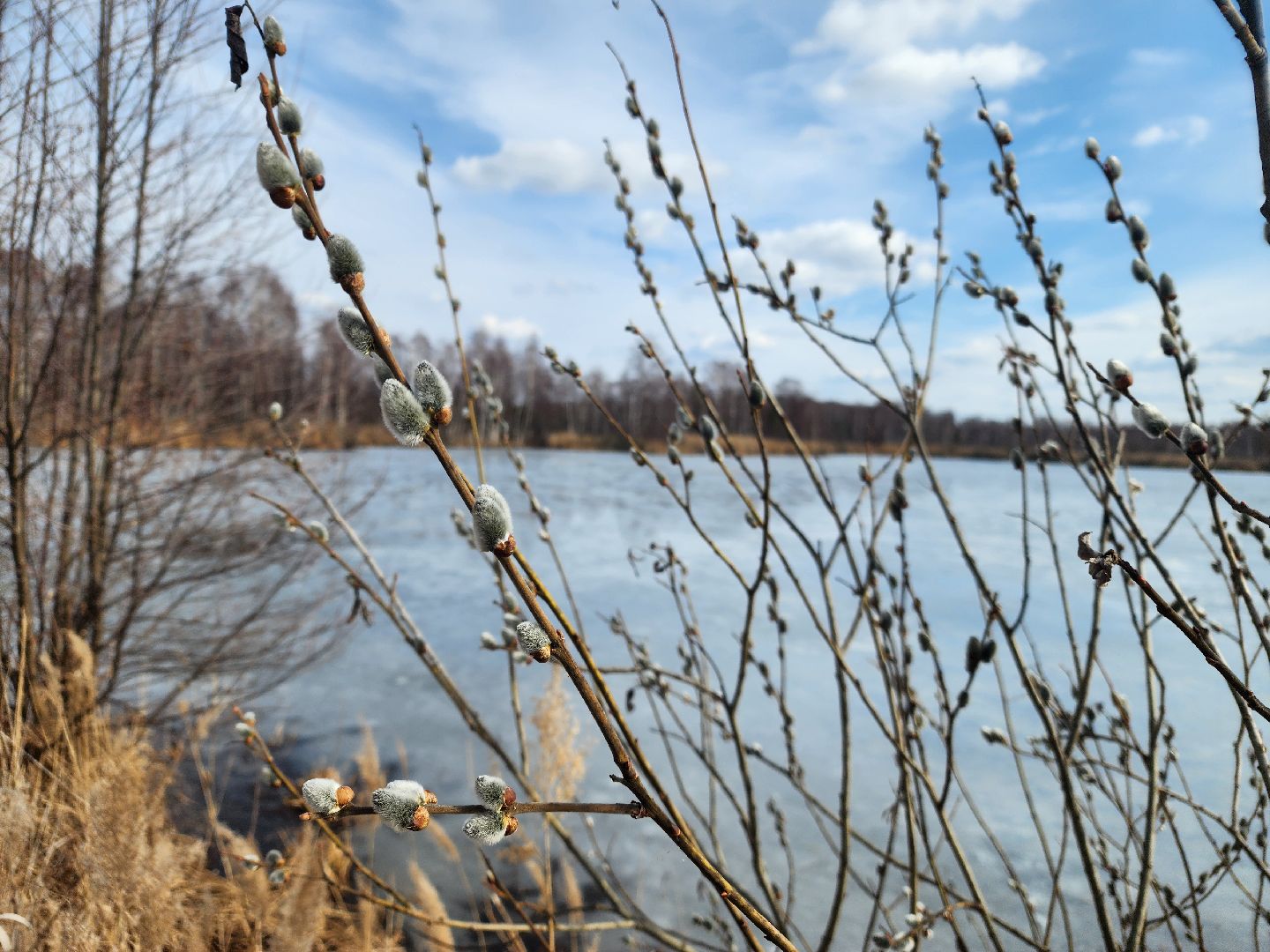 пожароопасный сезон, гидротехнические сооружения,