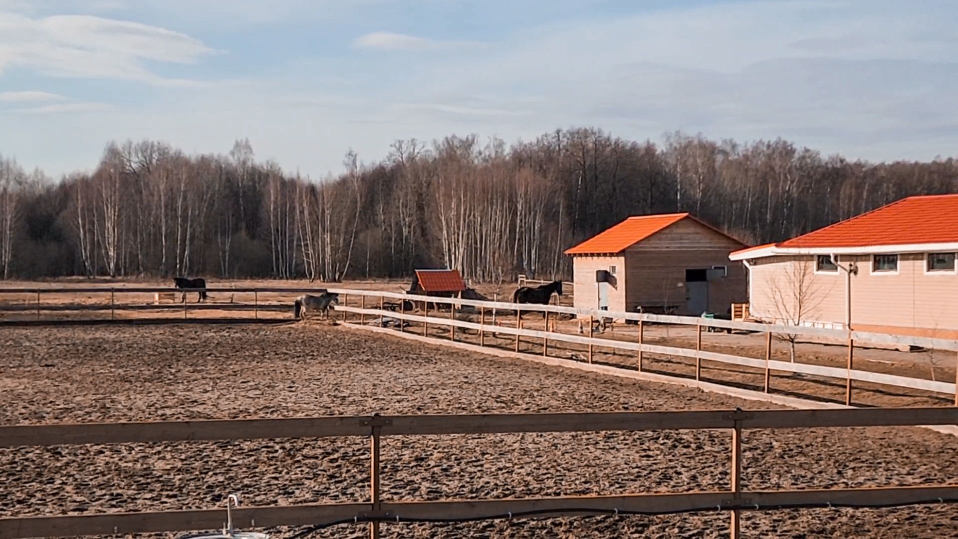 Раменский округ, Конный клуб, Дети,катание на лошадях,