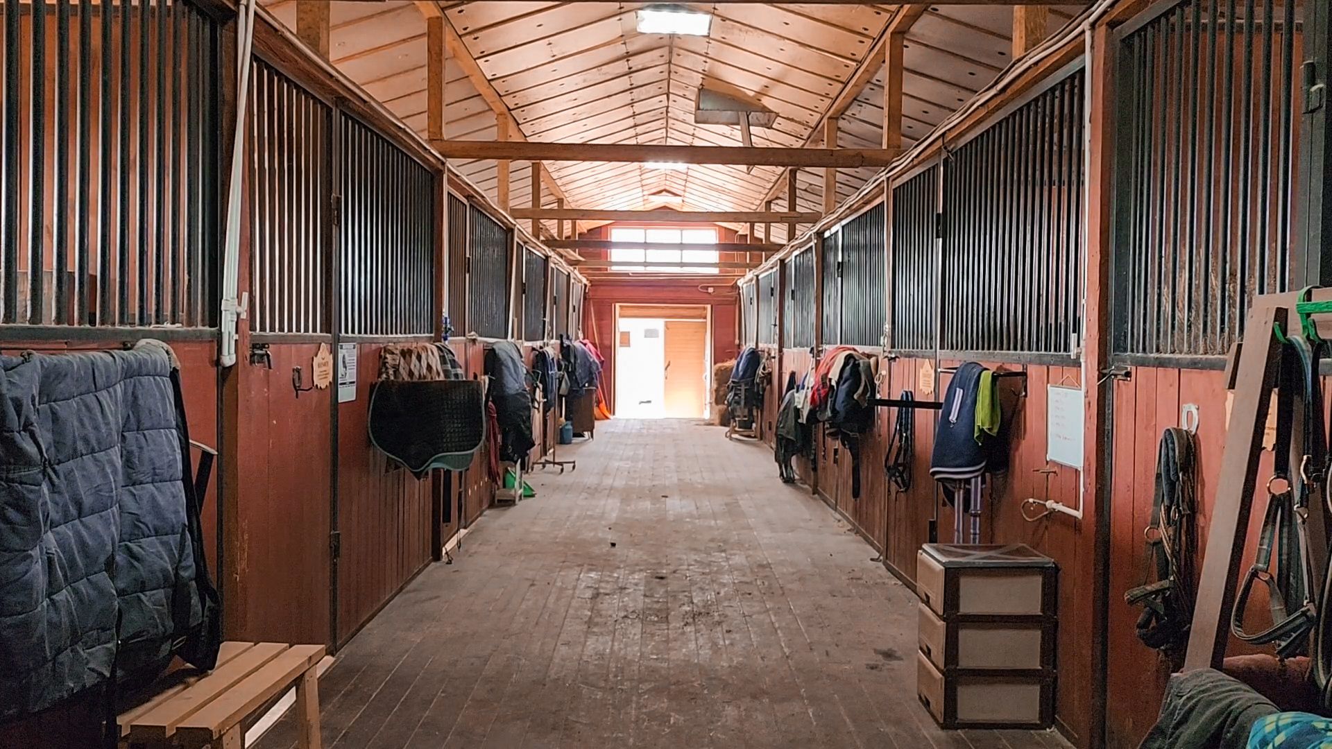 Раменский округ, Конный клуб, Дети,катание на лошадях,