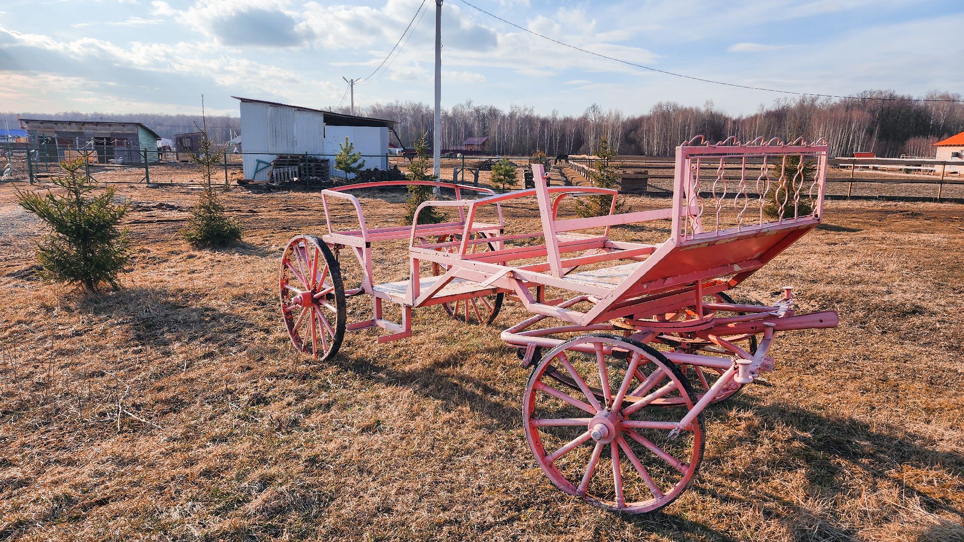 Раменский округ, Конный клуб, Дети,катание на лошадях,