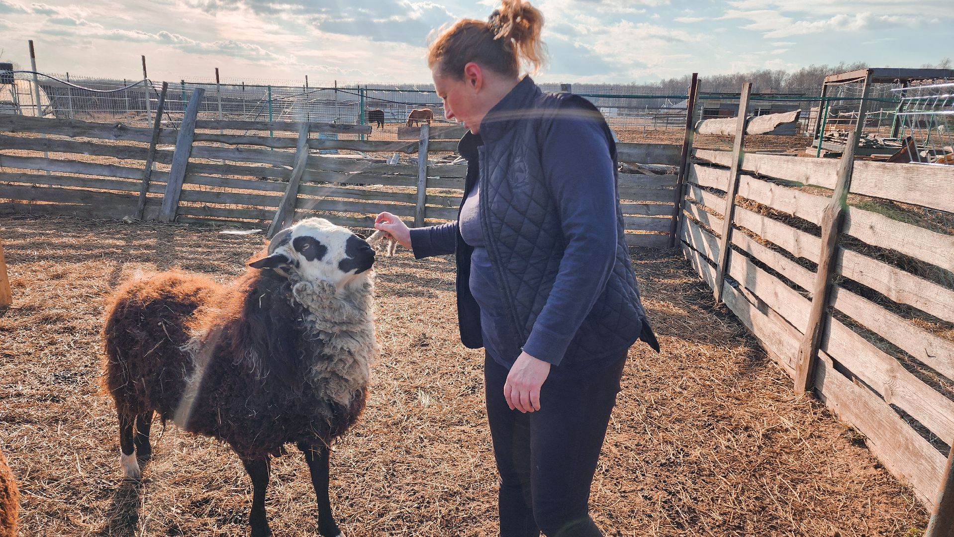 Раменский округ, Конный клуб, Дети,катание на лошадях,