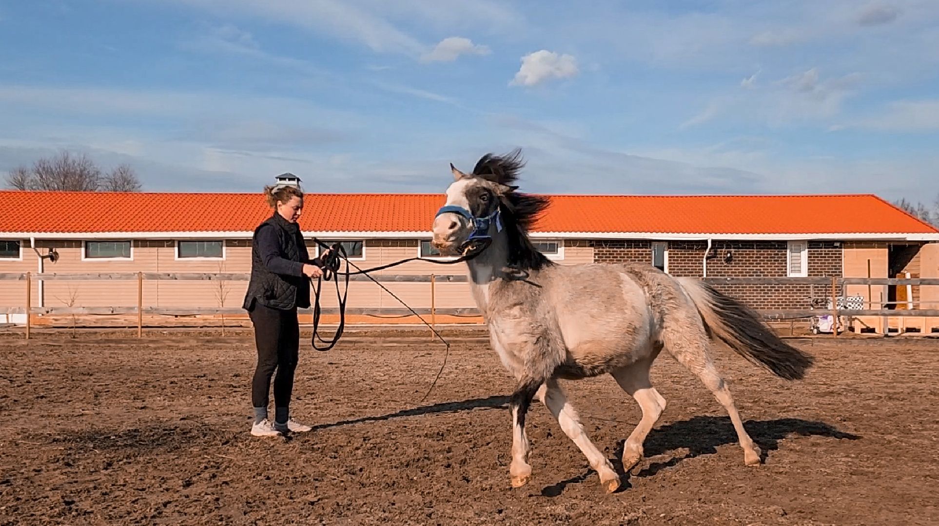 Раменский округ, Конный клуб, Дети,катание на лошадях,