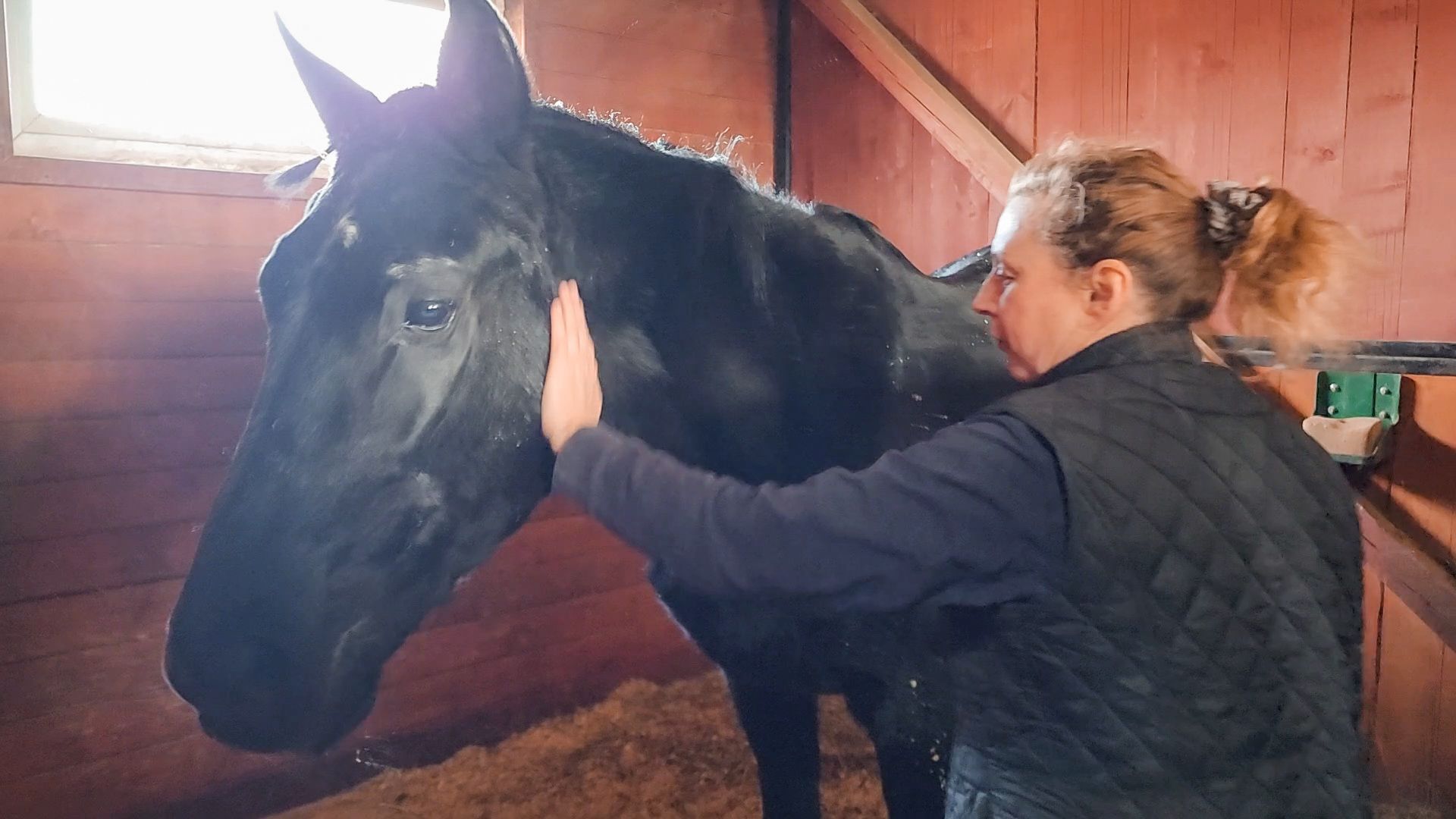 Раменский округ, Конный клуб, Дети,катание на лошадях,