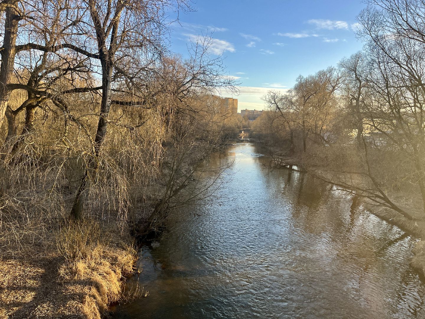 наро-фоминский городской округ, живая река, экология подмосковья, чистые реки, экологическая акция живая река,