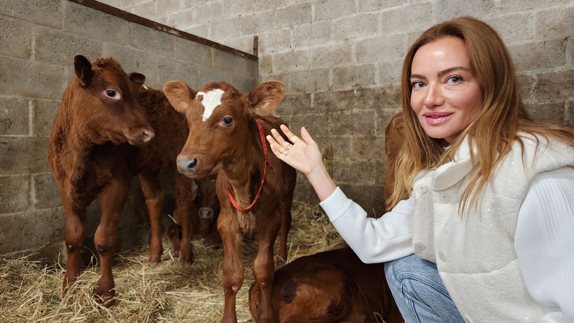 ступино, сельское хозяйство, грант, экономика,