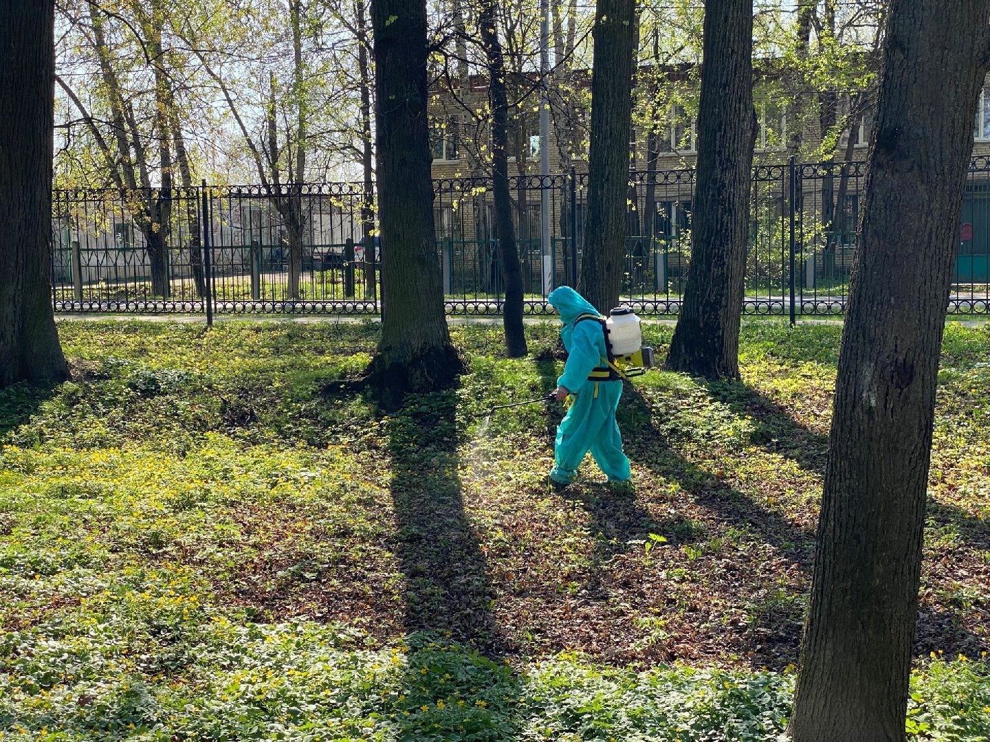 Домодедово, профилактика, клещи, клещевой энцефалит, благоустройство, дезинфекция