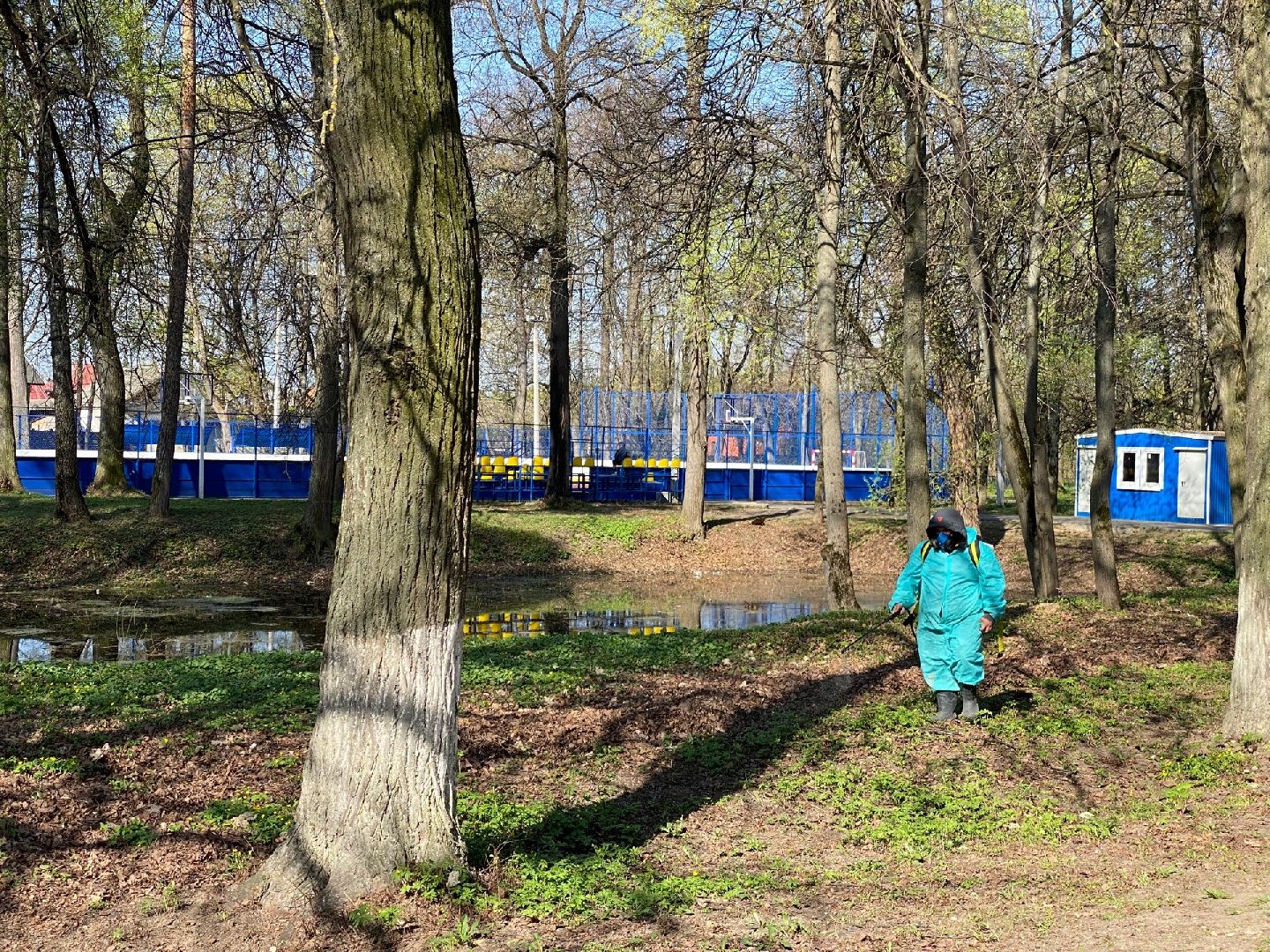 Домодедово, профилактика, клещи, клещевой энцефалит, благоустройство, дезинфекция