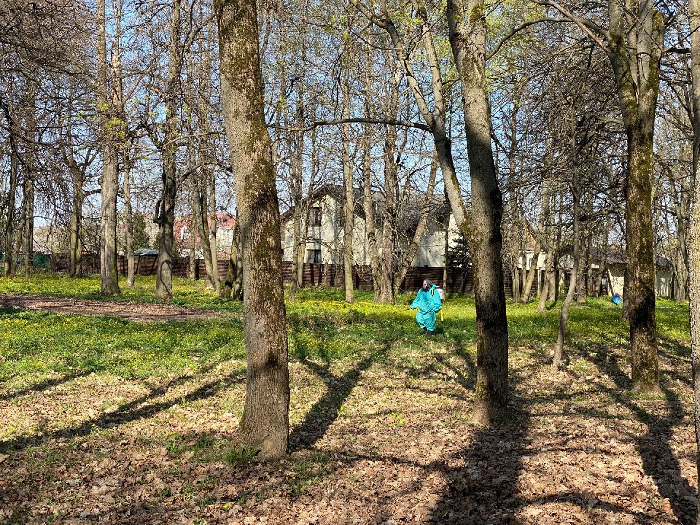 Домодедово, профилактика, клещи, клещевой энцефалит, благоустройство, дезинфекция