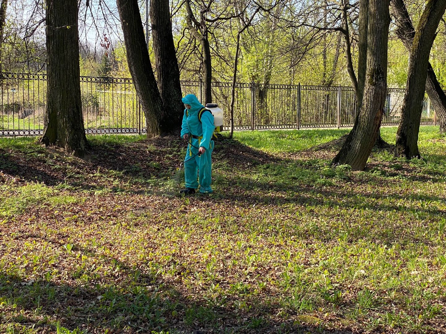 Домодедово, профилактика, клещи, клещевой энцефалит, благоустройство, дезинфекция