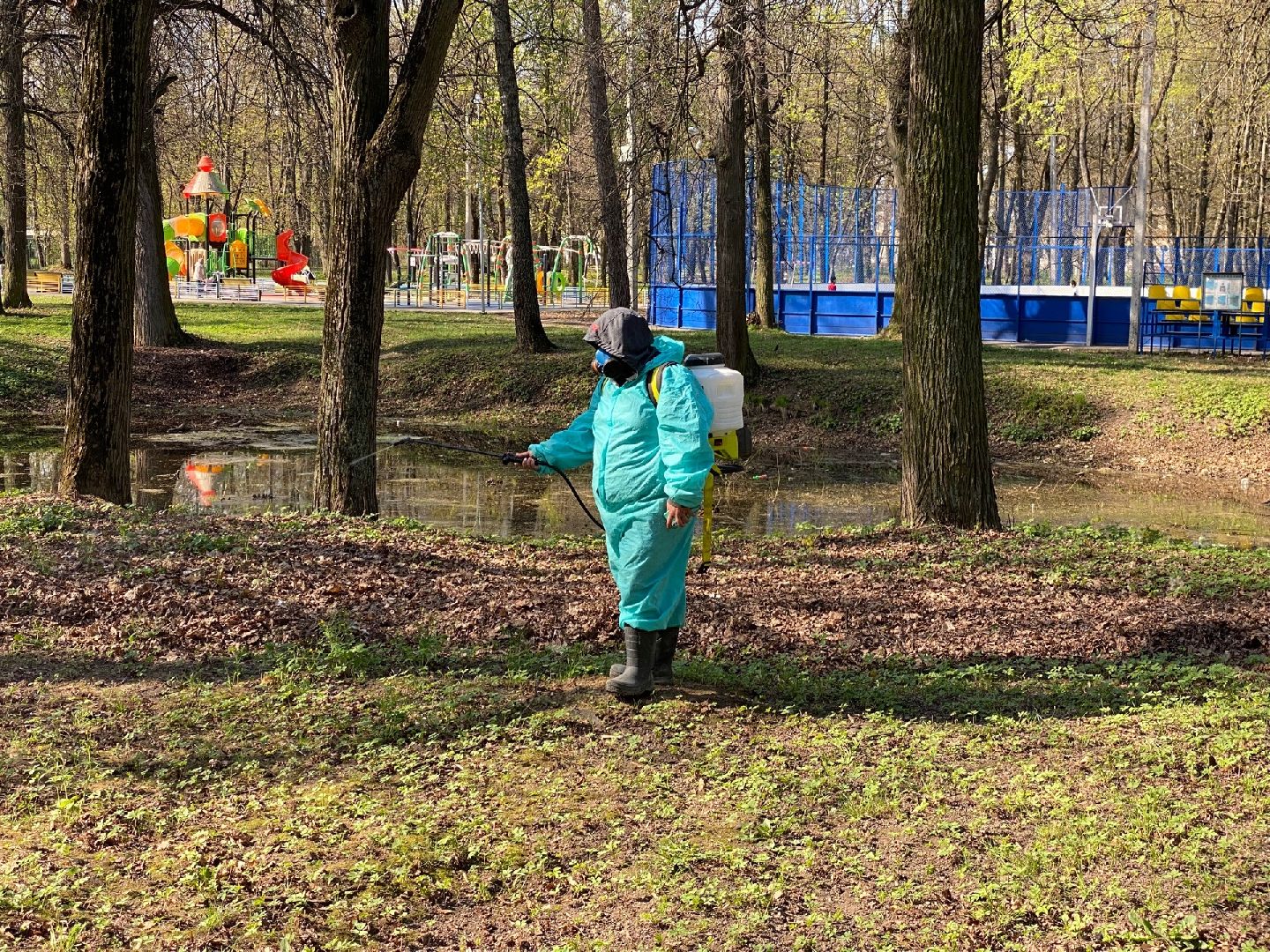 Домодедово, профилактика, клещи, клещевой энцефалит, благоустройство, дезинфекция