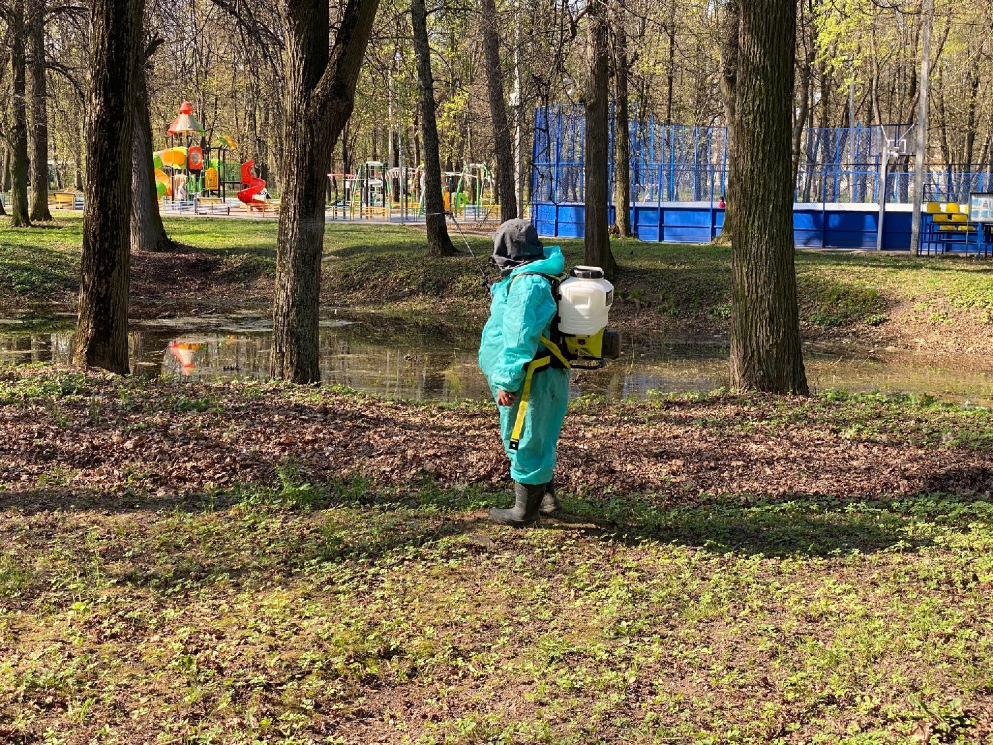 Домодедово, профилактика, клещи, клещевой энцефалит, благоустройство, дезинфекция