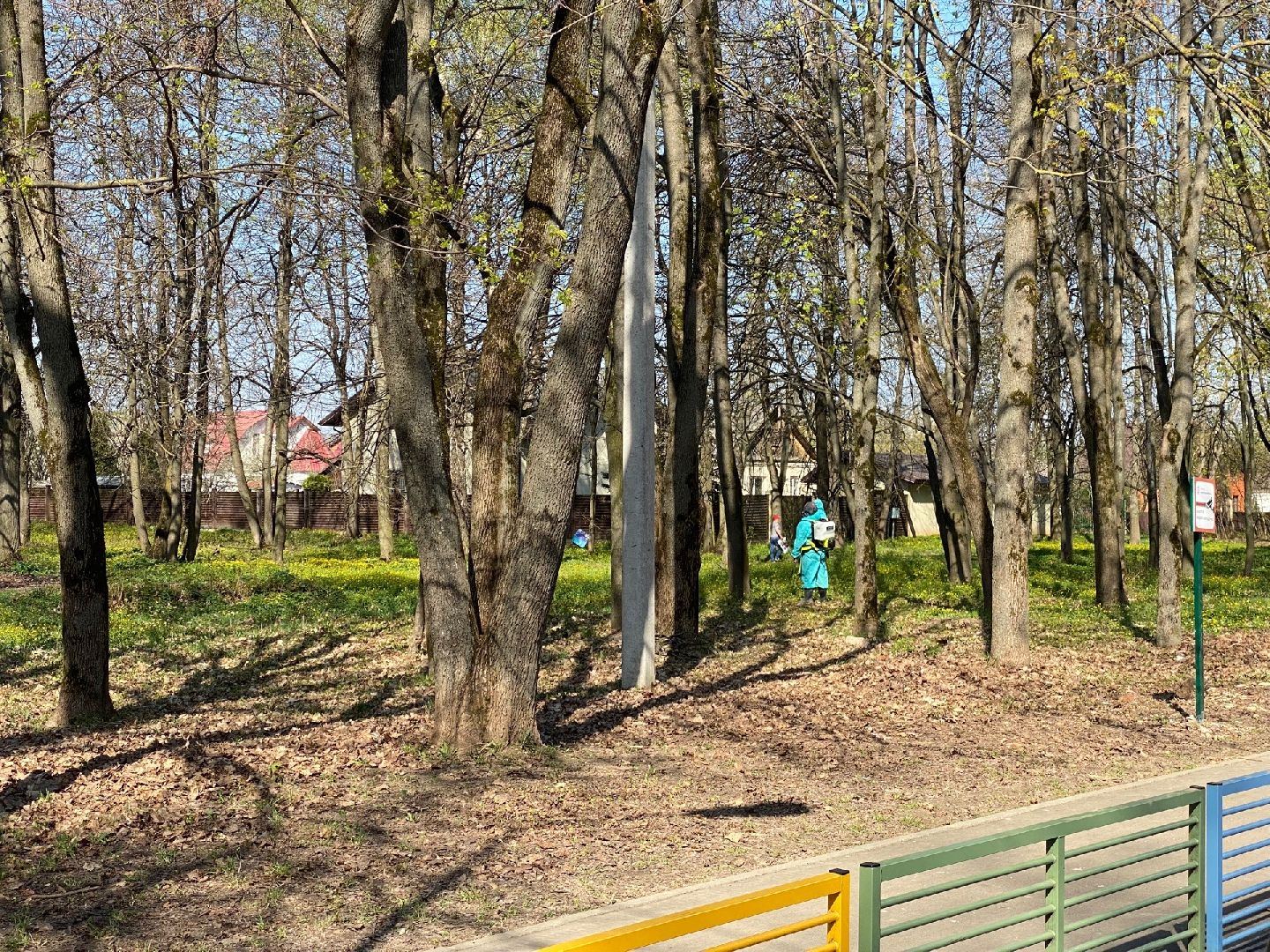 Домодедово, профилактика, клещи, клещевой энцефалит, благоустройство, дезинфекция