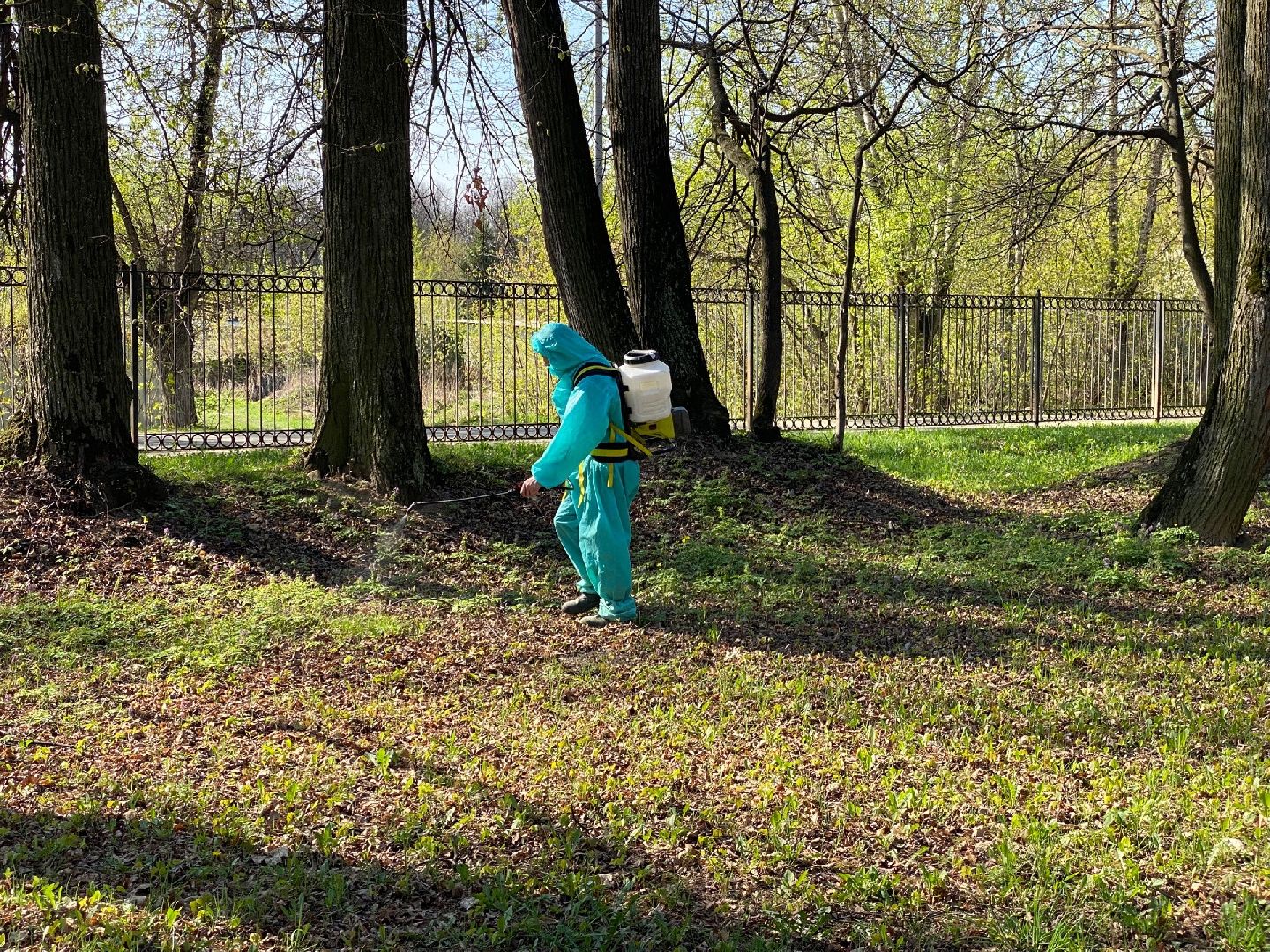 Домодедово, профилактика, клещи, клещевой энцефалит, благоустройство, дезинфекция