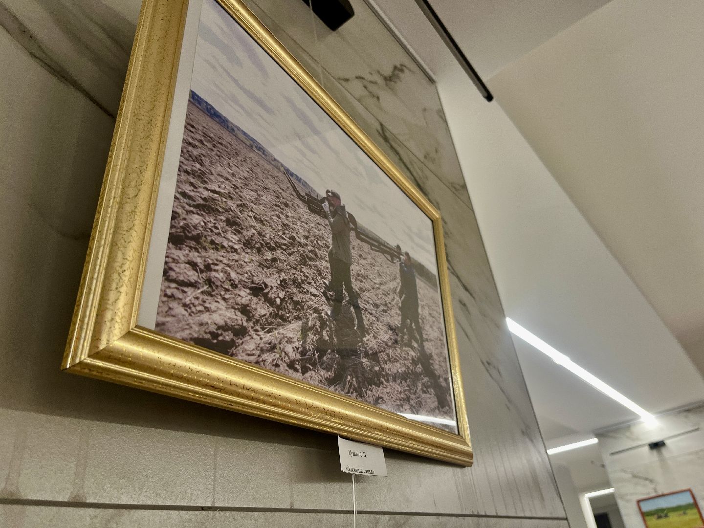 наро-фоминск, наро-фоминский городской округ, день труда московской области, фотовыставка,