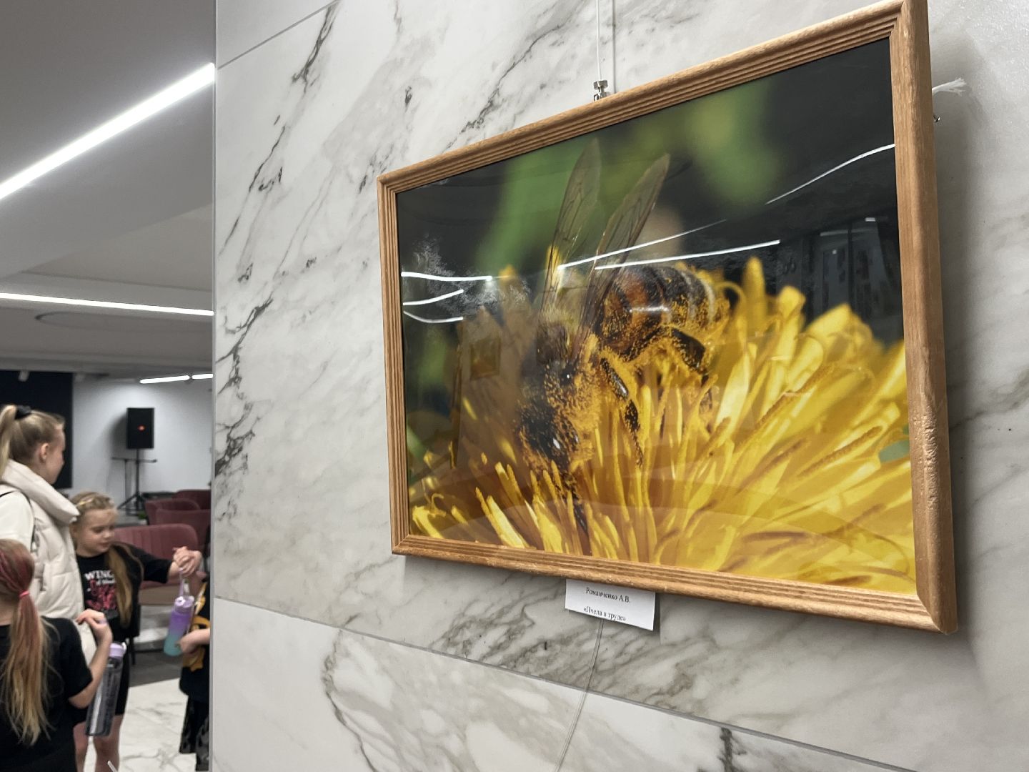 наро-фоминск, наро-фоминский городской округ, день труда московской области, фотовыставка,